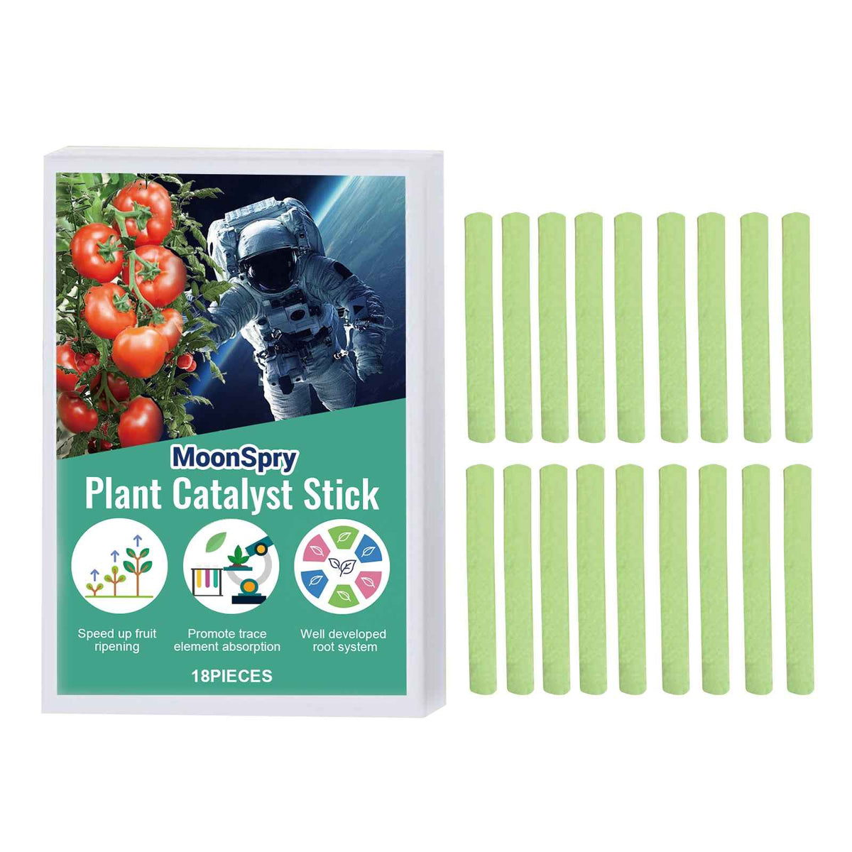 Plant Growth Fertilizer Sticks.