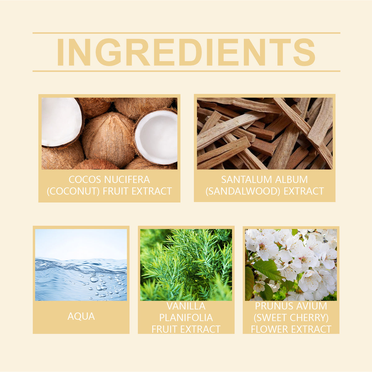 Roxelis Vanilla Coconut Body Spray.