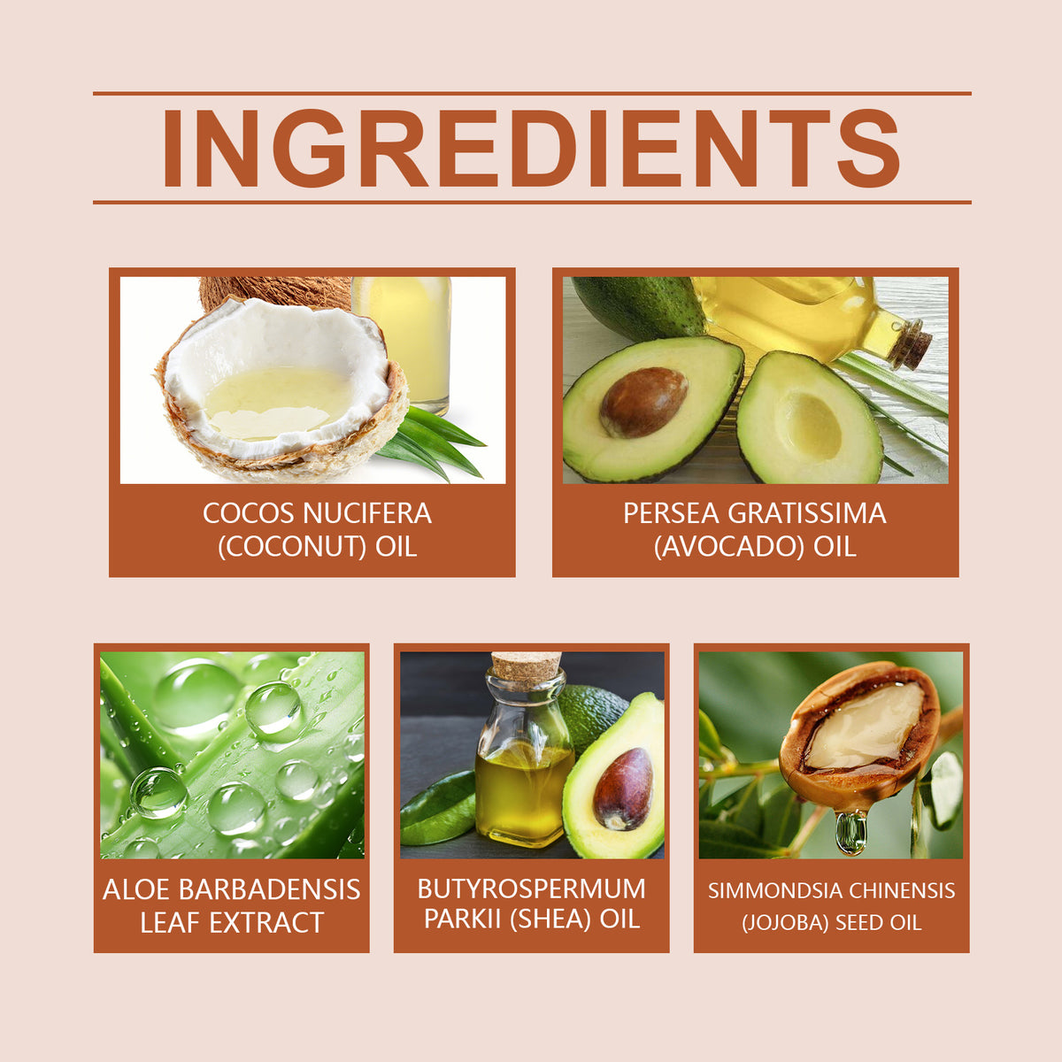 OceAura Foot Moisturizing Cream ingredients panel showing coconut, avocado, aloe