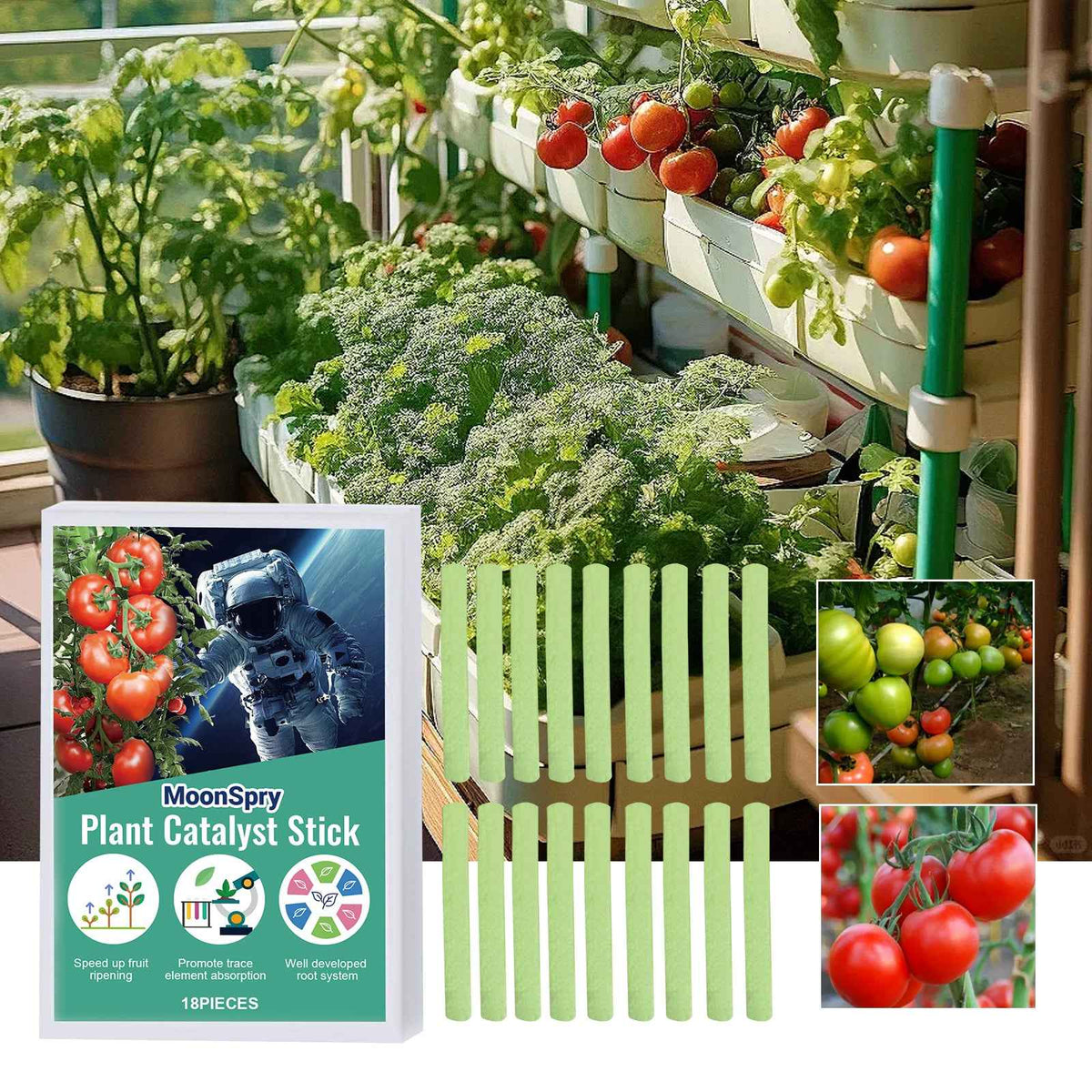 Plant Growth Fertilizer Sticks.