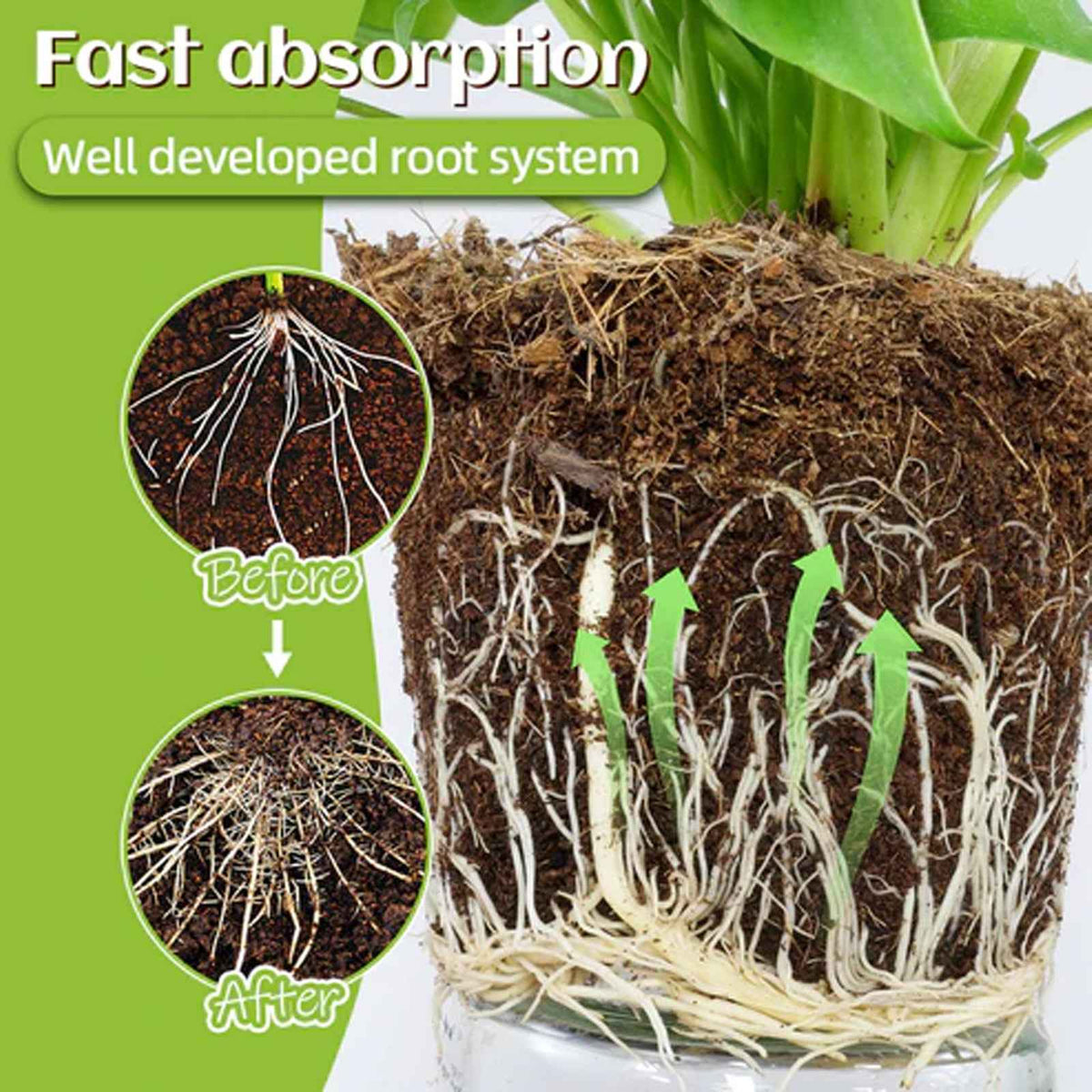 Plant Growth Fertilizer Sticks.