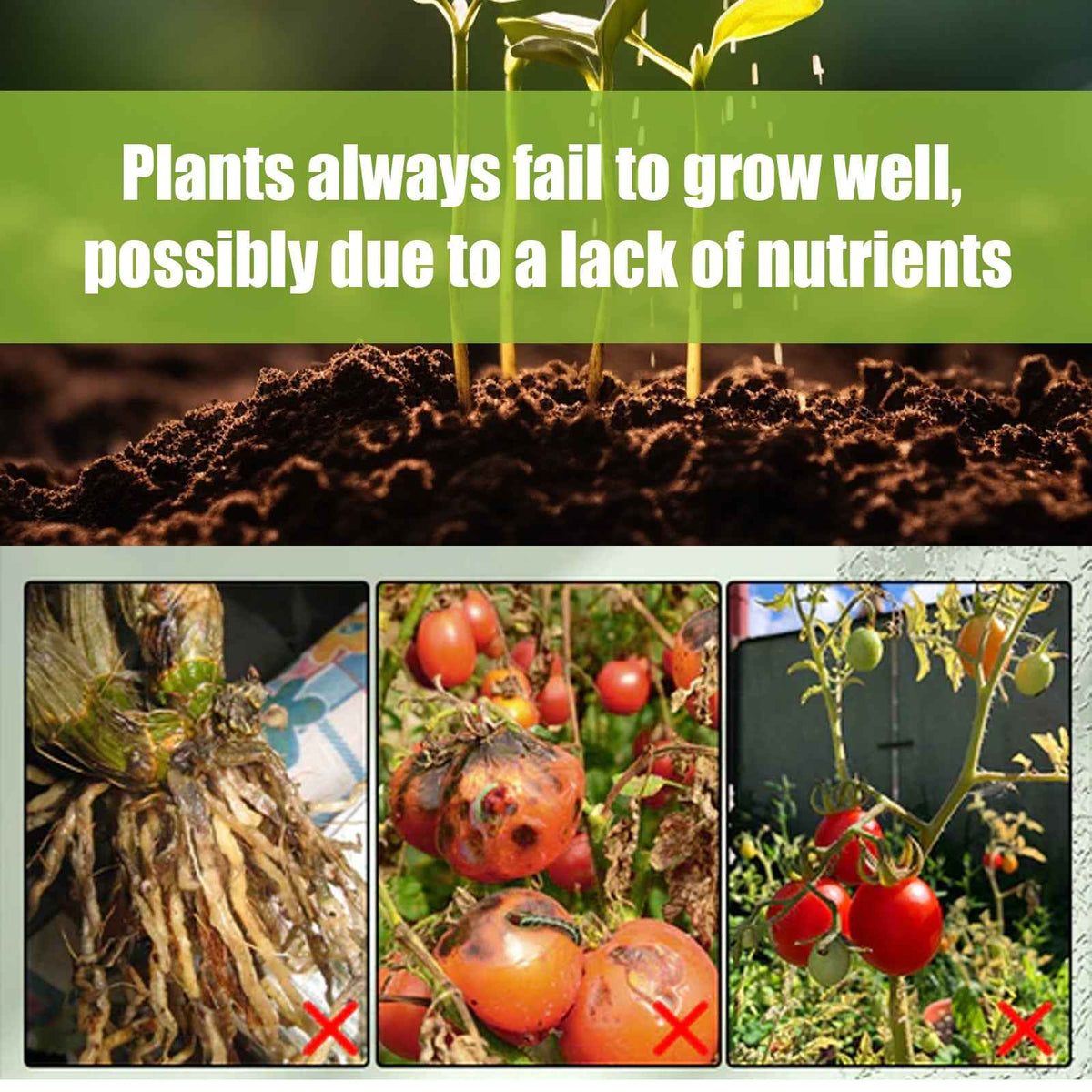 Plant Growth Fertilizer Sticks.