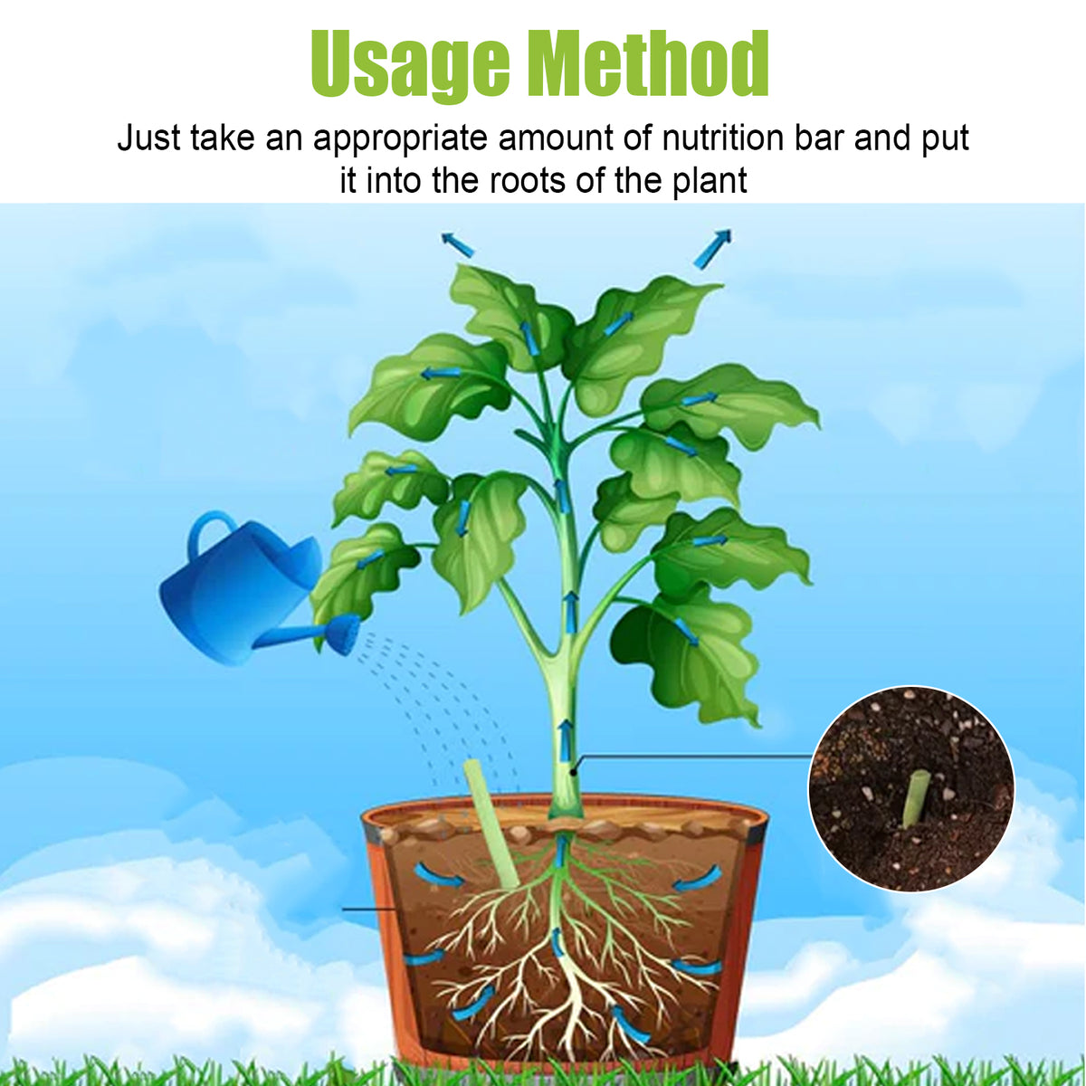 Plant Growth Fertilizer Sticks.